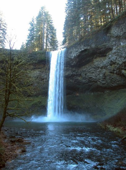 Silver Falls: South Falls in the Winter 12